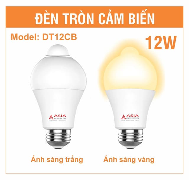 Đèn tròn cảm ứng 12W