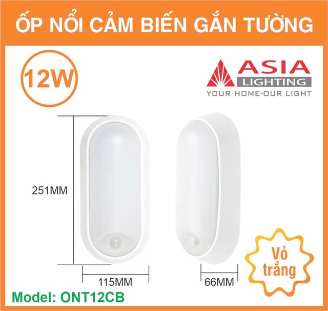 Đèn LED ốp nổi cảm biến gắn tường 12W