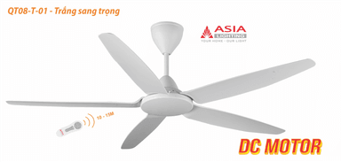 Quạt trần cao cấp QT08