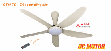 Quạt trần đèn cao cấp QT10