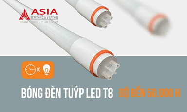 Đèn tuýp LED bóng rời T8 thủy tinh